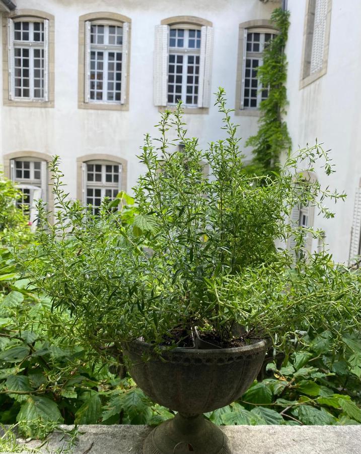 L'Appartement By Merveilles De Marie Lons-le-Saunier Exteriör bild